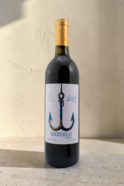 Botella de vino tinto Anzuelo de Wellnex con etiqueta ilustrada de un ancla sobre fondo de pared texturizada